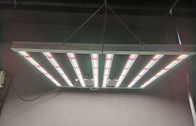 600w Indoor LED Grow Light Indoor Plant Grow Lights AC85 - 265V Napięcie wejściowe