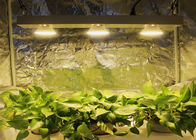 Full Spectrum Indoor LED Grow Light Led Grow Panel Light 100 - 240 W RoHS