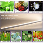 Bright Indoor Led Grow Light T8 18w Full Spectrum Led Grow Light 5 lat gwarancji