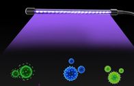 Lampa bakteriobójcza LED do dezynfekcji ultrafioletowej USB