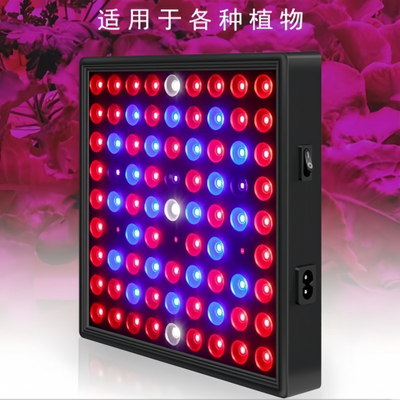 Światło roślinnego wzrostu LED pełnego spektrum 50w 80W Czerwone niebieskie światło do szklarni