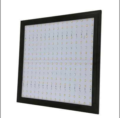 Moduł ekonomiczny Lampa do wzrostu roślin pełnego widma Czerwone niebieskie światło do oświetlenia szklarni