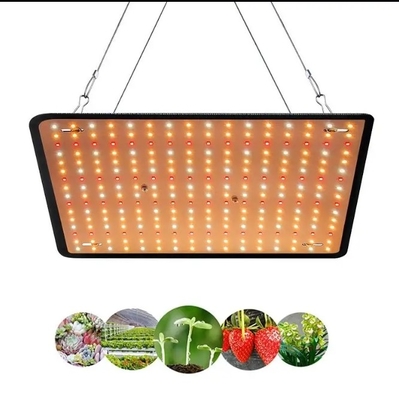 Moduł ekonomiczny Lampa do wzrostu roślin pełnego widma Czerwone niebieskie światło do oświetlenia szklarni
