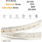 12V DC RGB 2835 2700K 30LEDS + 2835 6500K 30LEDSInteligentna elastyczna taśma LED RGBW